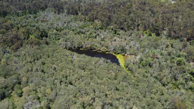 Residential Block For Sale - QLD - Bullyard - 4671 - 70.82 Acres of Undulated Bushland Bliss  (Image 2)