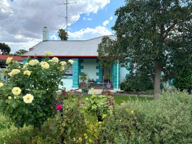 House For Sale - SA - Naracoorte - 5271 - Value Buying, Double Stone 3 bed, 2 bath - 850m2 Allotment  (Image 2)