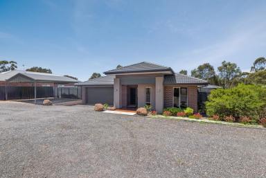 House For Sale - VIC - East Bendigo - 3550 - Spacious Family Living with Impressive Outdoor Entertaining Space  (Image 2)