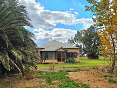 Lifestyle For Sale - VIC - Bamawm - 3561 - Escape to the Timeless Charm of Country Living  (Image 2)