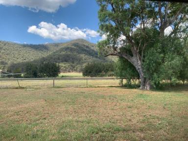 House For Lease - NSW - Baerami Creek - 2333 - RURAL RENTAL - COUNTRY LIFESTYLE  (Image 2)