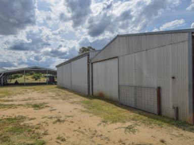 Mixed Farming For Sale - NSW - Young - 2594 - Kambah 33acs* On The Door Step Of Town With Subdivision Potential  (Image 2)