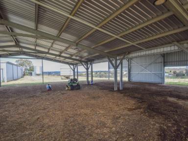 Mixed Farming For Sale - NSW - Young - 2594 - The Perfect Lifestyle Block "Kambah" 33acs* On The Door Step Of Town  (Image 2)