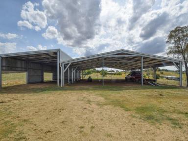 Mixed Farming For Sale - NSW - Young - 2594 - The Perfect Lifestyle Block "Kambah" 33acs* On The Door Step Of Town  (Image 2)