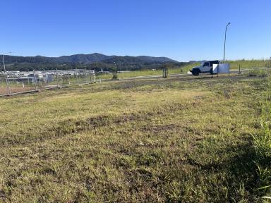 Residential Block For Sale - NSW - Coffs Harbour - 2450 - Great views / level block.  (Image 2)