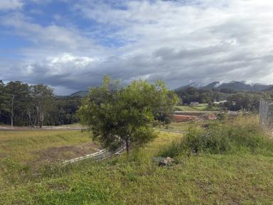 Residential Block For Sale - NSW - Coffs Harbour - 2450 - DREAM HOME POSITION.  (Image 2)