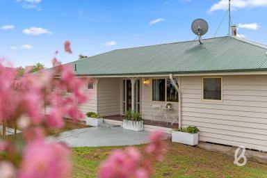 Other (Rural) For Sale - NSW - Singleton - 2330 - "BRAEVIEW" | COUNTRY ESCAPE  (Image 2)