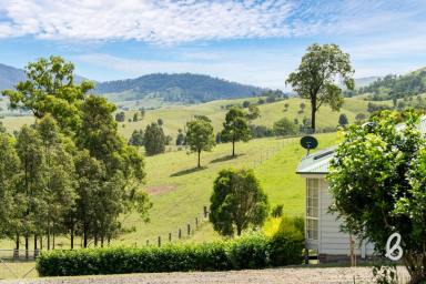 Other (Rural) Sold - NSW - Singleton - 2330 - "BRAEVIEW" | COUNTRY ESCAPE  (Image 2)