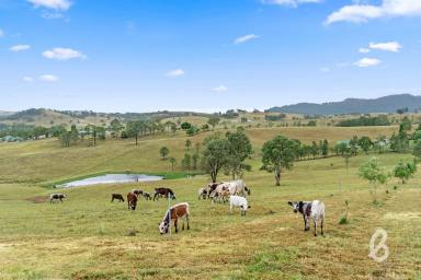 Other (Rural) For Sale - NSW - Singleton - 2330 - "BRAEVIEW" | COUNTRY ESCAPE  (Image 2)