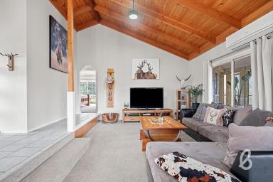 Other (Rural) Sold - NSW - Singleton - 2330 - "BRAEVIEW" | COUNTRY ESCAPE  (Image 2)