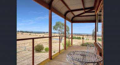 House For Lease - VIC - Springhurst - 3682 - 70 O'BRIEN RD SPRINGHURST  (Image 2)