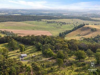 Lifestyle For Sale - NSW - Canyonleigh - 2577 - Escape To The Country!  (Image 2)