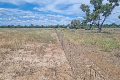 Other (Rural) For Sale - NSW - Brewarrina - 2839 - Absolute River Frontage  (Image 2)