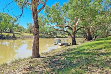 Other (Rural) For Sale - NSW - Brewarrina - 2839 - Absolute River Frontage  (Image 2)