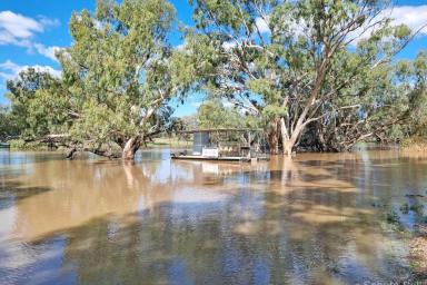 Other (Rural) For Sale - NSW - Brewarrina - 2839 - A rare opportunity to own a piece of paradise on the iconic Barwon River  (Image 2)