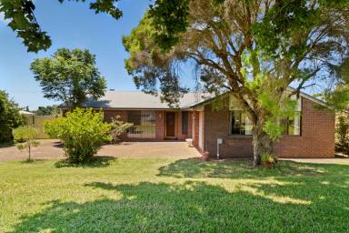 House For Lease - QLD - Centenary Heights - 4350 - Location is EVERYTHING!  (Image 2)