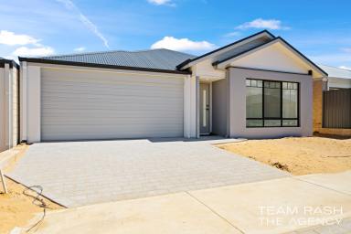 House For Sale - WA - Wellard - 6170 - Brand New Modern Family Home at 36 Havant Way, Wellard WA 6170  (Image 2)