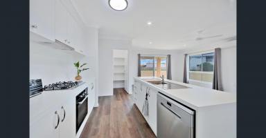 House For Lease - QLD - Elliott Heads - 4670 - Modern Coastal 3 Bedroom now Available for Rent!  (Image 2)