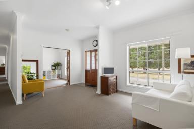 Lifestyle Auction - NSW - Wollogorang - 2581 - A class above!  (Image 2)