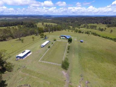 Livestock For Sale - NSW - Bonalbo - 2469 - YOU CAN HAVE IT ALL  (Image 2)