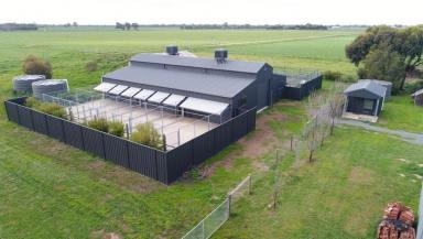 Acreage/Semi-rural For Sale - VIC - Waaia - 3637 - DOG BOARDING FACILITY - NORTHERN VIC  (Image 2)