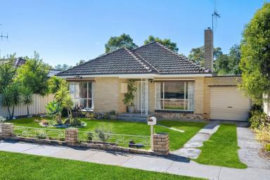 House For Sale - VIC - Golden Square - 3555 - Vintage Cream Brick Gem!  (Image 2)