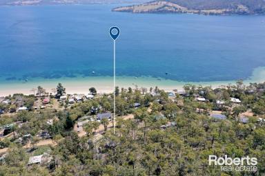 Residential Block For Sale - TAS - Dennes Point - 7150 - Immerse In Stunning Water Views Surrounded by a Peaceful Bush Landscape  (Image 2)