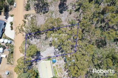 Residential Block For Sale - TAS - Dennes Point - 7150 - Immerse In Stunning Water Views Surrounded by a Peaceful Bush Landscape  (Image 2)