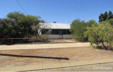 House Sold - WA - Dalwallinu - 6609 - Opportunity Awaits!  (Image 2)