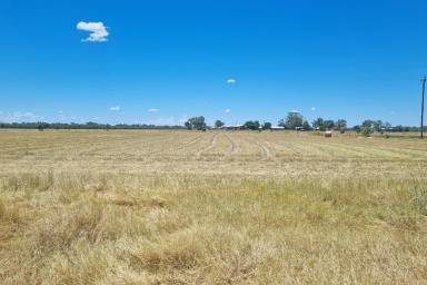 Other (Rural) For Sale - NSW - Brewarrina - 2839 - Bre Lucerne Farm - Acreage close to town  (Image 2)