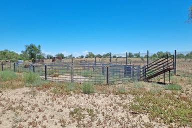 Other (Rural) For Sale - NSW - Brewarrina - 2839 - Bre Lucerne Farm - Acreage close to town  (Image 2)