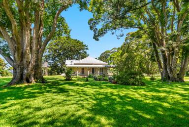 House For Sale - NSW - Coopers Shoot - 2479 - Iconic Heritage Property - New Price Guide  (Image 2)