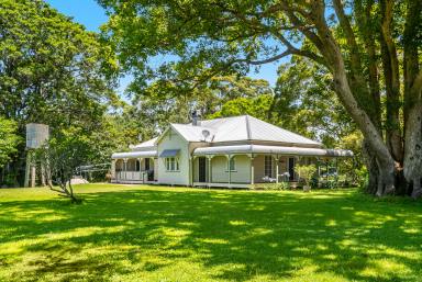 House For Sale - NSW - Coopers Shoot - 2479 - Iconic Heritage Property - First Time on the Market in 40 Years  (Image 2)