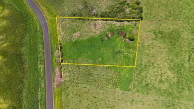 Residential Block For Sale - NSW - Dorrigo - 2453 - 4274*sqm residential block with gorgeous northerly aspect  (Image 2)