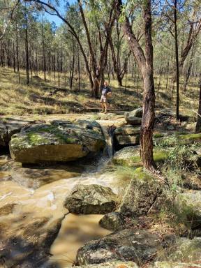 Livestock For Sale - NSW - Ulamambri - 2357 - Exceptional Grazing Property with Dual Residences and Established Infrastructure. Biodiversity Credits Investment  (Image 2)