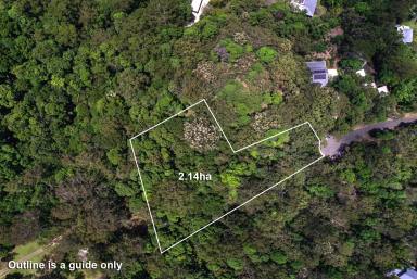 Residential Block For Sale - QLD - Doonan - 4562 - Tranquil 5.2 Acres Paradise in the  Sunshine Coast Hinterland  (Image 2)