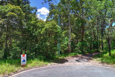 Residential Block For Sale - QLD - Doonan - 4562 - Tranquil 5.2 Acres Paradise in the  Sunshine Coast Hinterland  (Image 2)