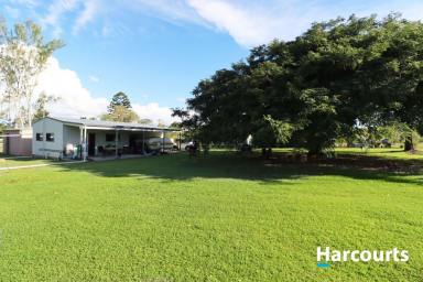 Residential Block For Sale - QLD - Biggenden - 4621 - READY FOR YOU TO COMPLETE!  (Image 2)