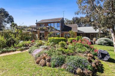 Lifestyle For Sale - VIC - Bellbrae - 3228 - Country Living on the Surf Coast  (Image 2)