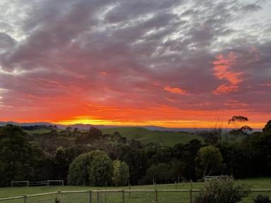 House For Sale - VIC - Foster - 3960 - Luxury country home with sea views (Image 2)