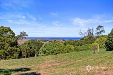 House For Sale - VIC - Foster - 3960 - Luxury country home with sea views  (Image 2)