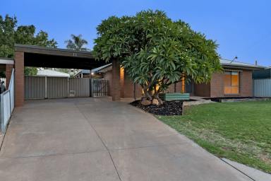 House For Sale - VIC - Merbein - 3505 - Genuine Family Living!  (Image 2)