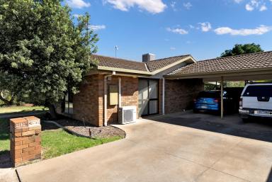 Unit For Sale - VIC - Mildura - 3500 - Affordable Investment Opportunity - Buy One or All Three!  (Image 2)