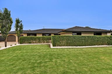 House Sold - VIC - Mildura - 3500 - Hidden Treasure with a Stunning Interior  (Image 2)