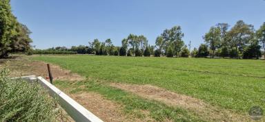 Cropping For Sale - VIC - Yarroweyah - 3644 - Quality Farming Opportunity in Prime Location  (Image 2)