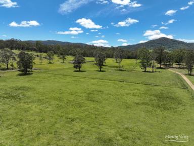 Residential Block For Sale - NSW - Krambach - 2429 - A Piece of Paradise!  (Image 2)