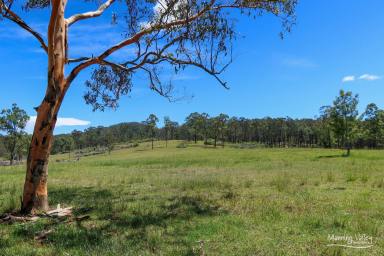 Residential Block For Sale - NSW - Krambach - 2429 - A Piece of Paradise!  (Image 2)