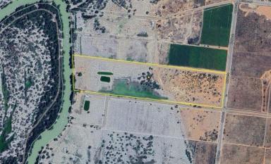 Lifestyle For Sale - NSW - Menindee - 2879 - Riverside Retreat with Endless Possibilities  (Image 2)