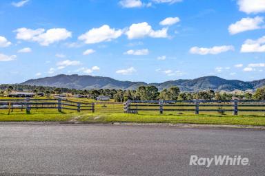 Residential Block For Sale - NSW - Gloucester - 2422 - Got your dream home planned? We have the dream block to match.  (Image 2)