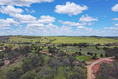 Other (Rural) For Sale - QLD - Ventnor - 4630 - North Burnett Fattening Country  (Image 2)